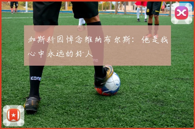 加斯科因悼念维纳布尔斯：他是我心中永远的好人