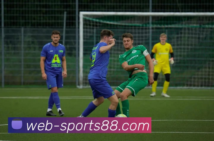 88体育APP 高清赛事图